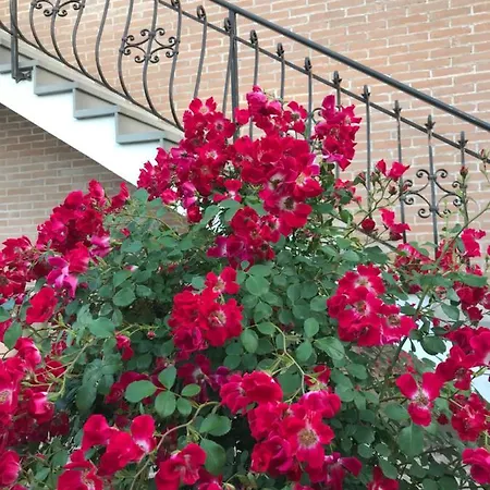 Apartament Udine Accommodation * Italy * Short Stays - Villa Elmagos Udine
